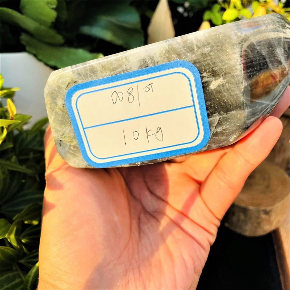 The underside of the labradorite freeform in a hand, with a handwritten label reading 0081 and 1.0 kg