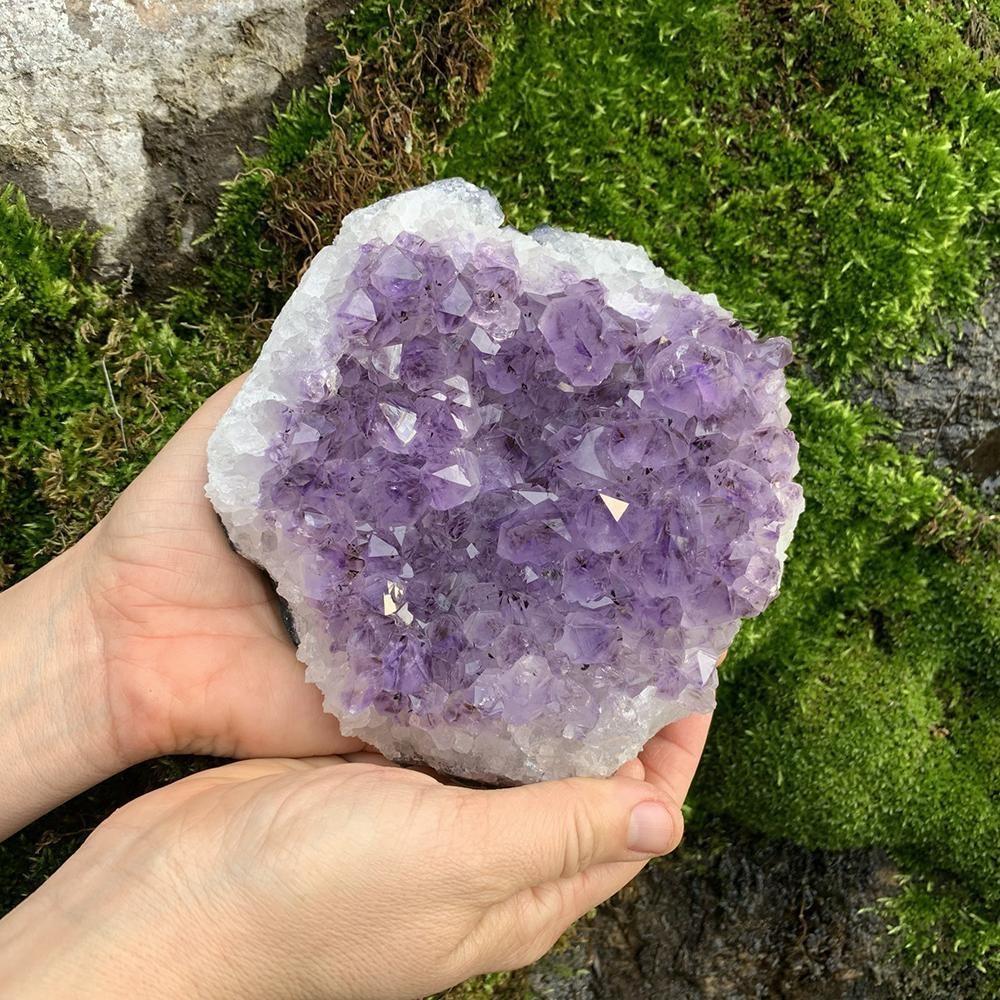 A large amethyst cluster held in two hands over green moss