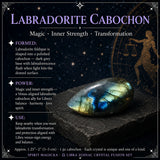 ♎ Vog - 23. september til 22. október - Zodiac Crystal Fusion sett með poka