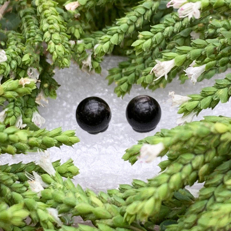 Earrings - Obsidian Studs