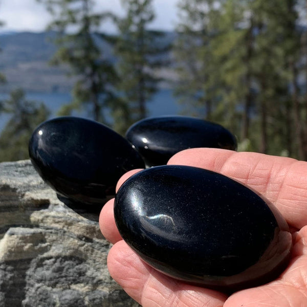 NAGRADNIK! Obsidian Palmstone - (samo plačajte stroške pošiljanja)