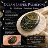 60 % rabat på Ocean Jasper Palmstone Palmstone 1-dag-kun