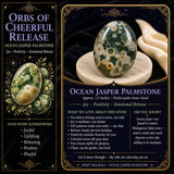 60 % rabat på Ocean Jasper Palmstone Palmstone 1-dag-kun