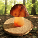 Μανιτάρι Carnelian