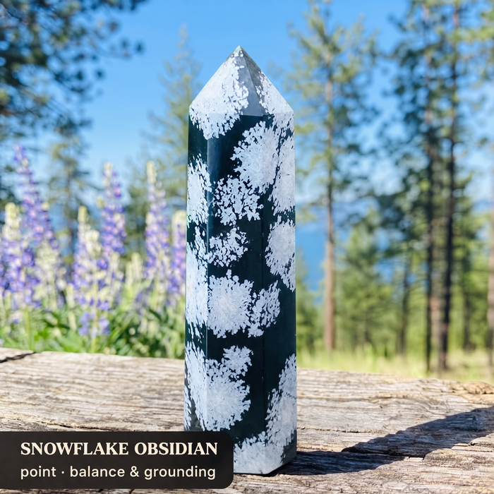 A black and white snowflake obsidian point among lupines