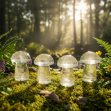 20-stykki sveppir gimsteinasett