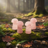 20-stykki sveppir gimsteinasett