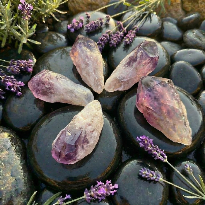 Five natural amethyst crystals arranged on dark river stones