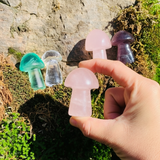 Goba iz rožnatega kremena