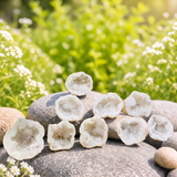 Quartz Geode Agat Kristall