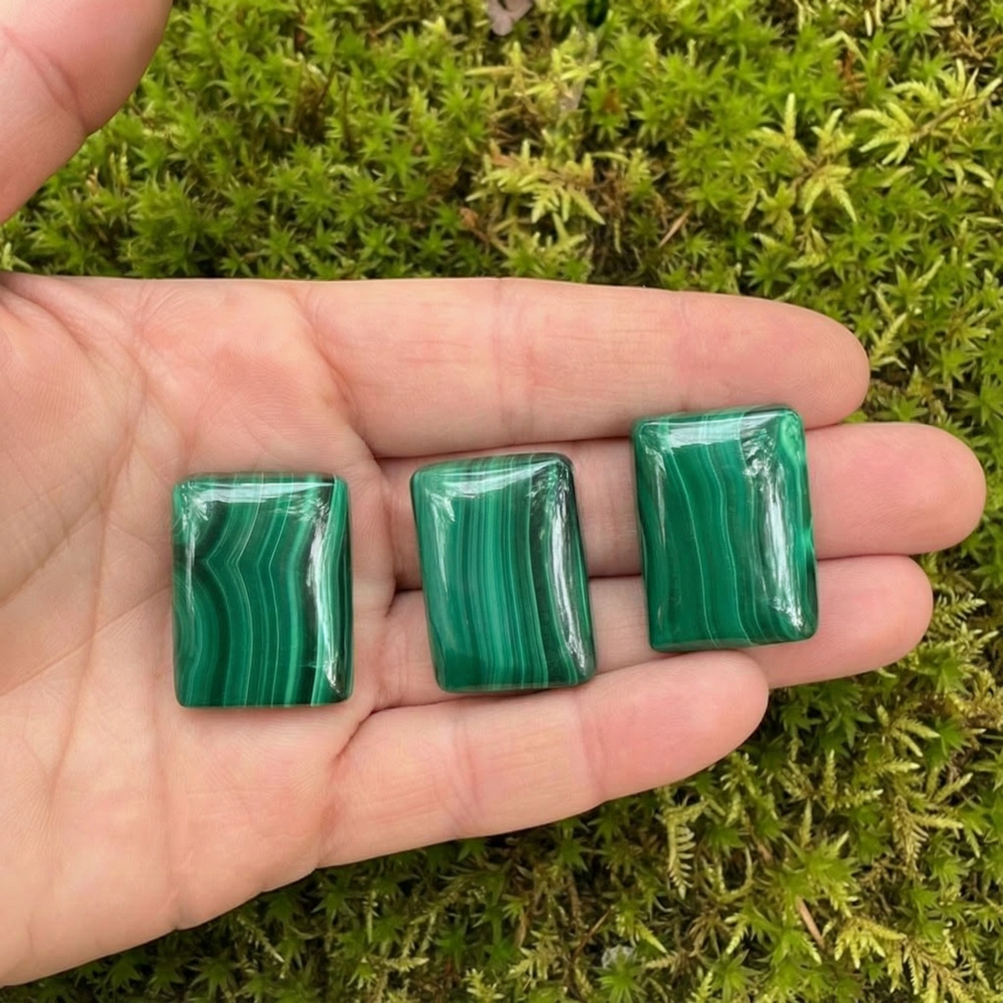Three polished rectangular malachite cabochons with green banding resting in an open palm over moss