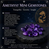 ♓ Fiskene - 19. februar - 20. marts - Zodiac Crystal Fusion Sæt med etui