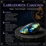 ♓ Fiskene - 19. februar - 20. marts - Zodiac Crystal Fusion Sæt med etui
