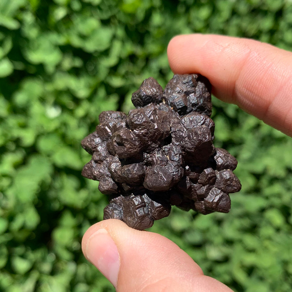 A Prophecy Stone held between a thumb and finger in front of green leaves, showing its size and textured clusters