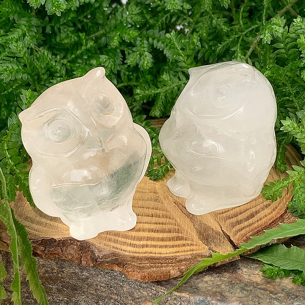 Two small carved clear quartz owls, one water-clear and one milky white, standing on a wood slice among ferns