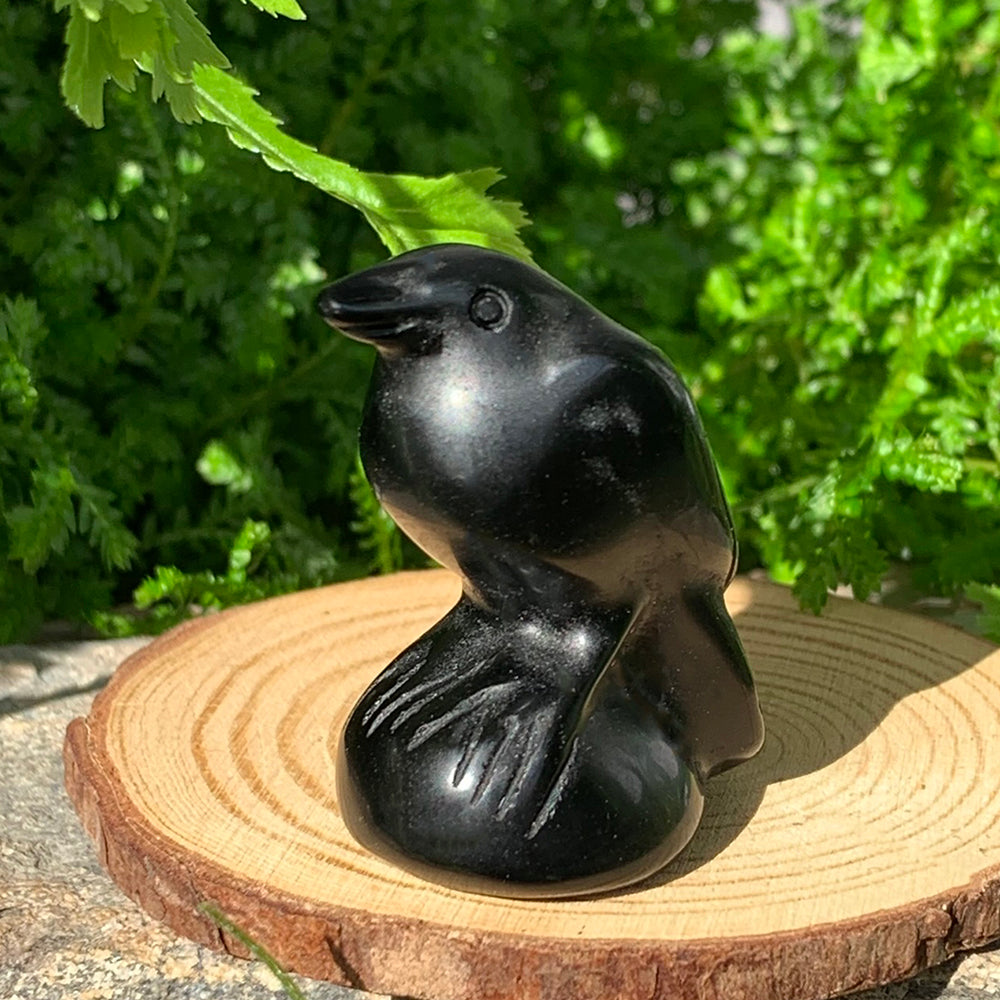 Glossy black agate raven totem perched on a wooden slice among ferns