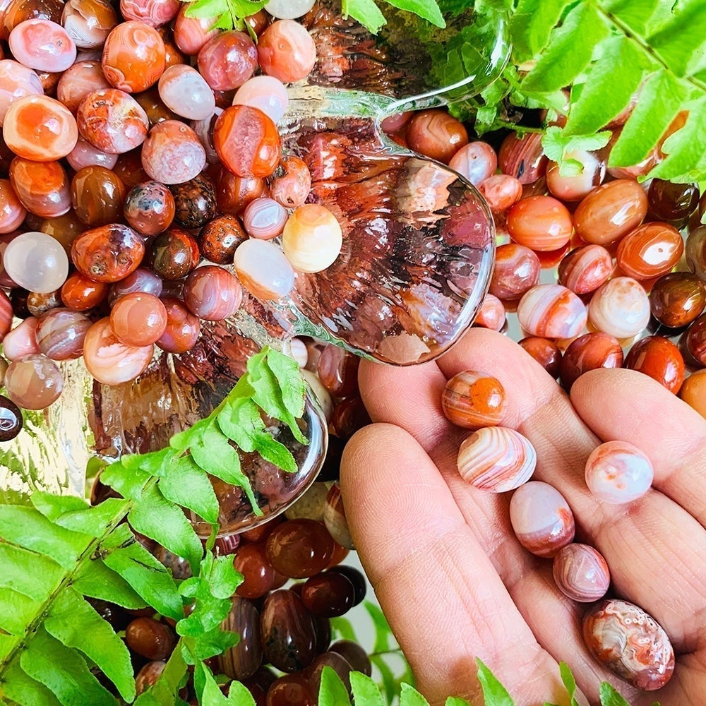 Banded red and white carnelian mini gemstones resting in an open palm among ferns and a glass dish