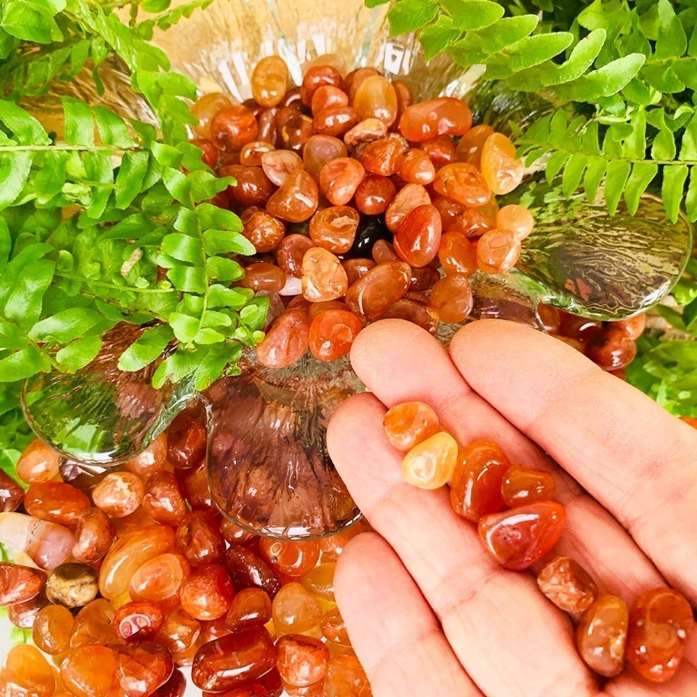 A few carnelian mini gemstones resting on fingertips beside a glass dish of carnelian
