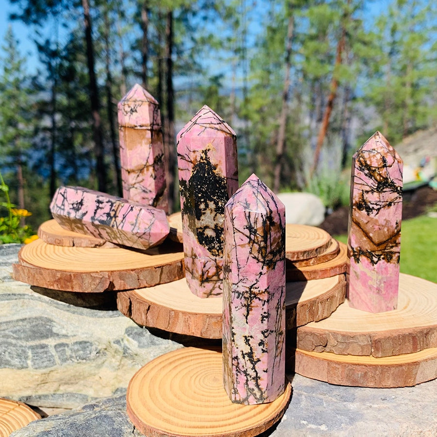 Five rhodonite points on stacked wooden rounds outdoors, each with a different pink and black pattern
