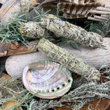 Smudge Kit: White Sage (6-Inch) + Abalone Shell