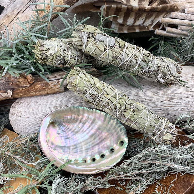 Smudge Kit: White Sage (6-Inch) + Abalone Shell