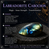 ♏ Sporðdreki - 23. október - 21. nóvember - Zodiac Crystal Fusion Sett með poka