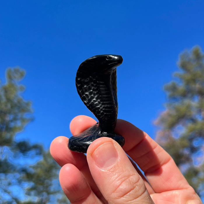 Black agate hooded snake with carved scales held in a hand against a blue sky