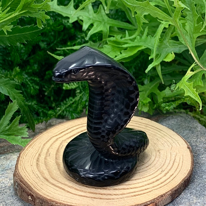 Polished black agate cobra carving with a raised hood on a wooden slice