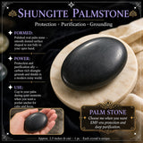 Shungit palmesten