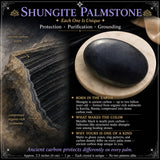 Shungit palmesten
