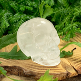 The Complete New-Age Mystic & Energy Healers Mastery Series