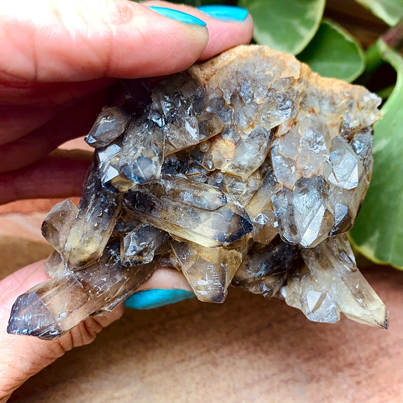 Copy of Smoky Quartz Cluster - clustergeode