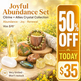 Joyful Citrine + Allies Crystal Box Knippi