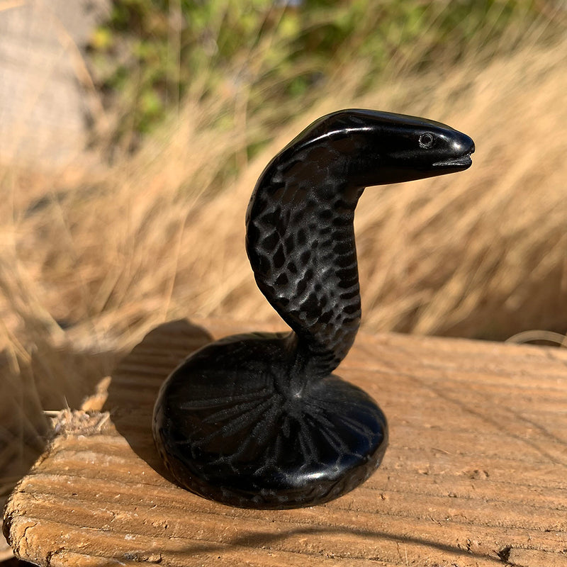 Guardians of Protection – Animal Totem Set