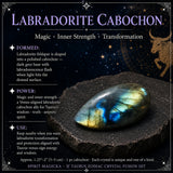 ♉ Naut - 20. apríl - 20. maí - Zodiac Crystal Fusion Sett með poka
