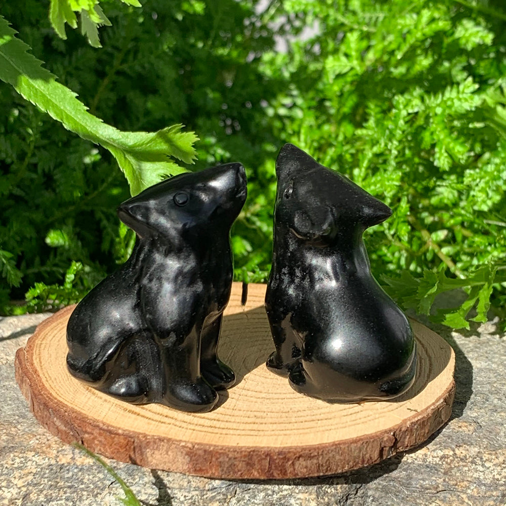 Two black agate wolf totems on a wooden slice in sunlight, one facing forward and one turned to show its back